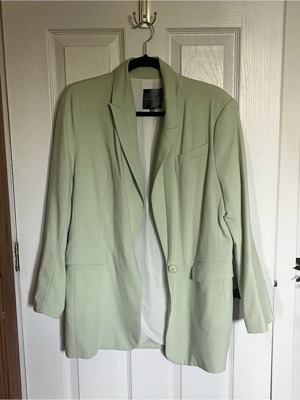 Dynamite Pastel Green Oversized Blazer - Size XS/TP
